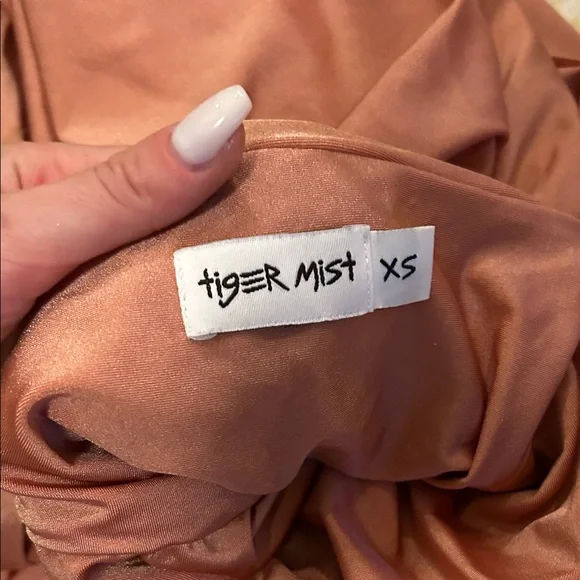 Tiger Mist Rust Mini Dress - Picture 3 of 3